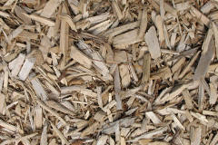 biomass boilers Medomsley